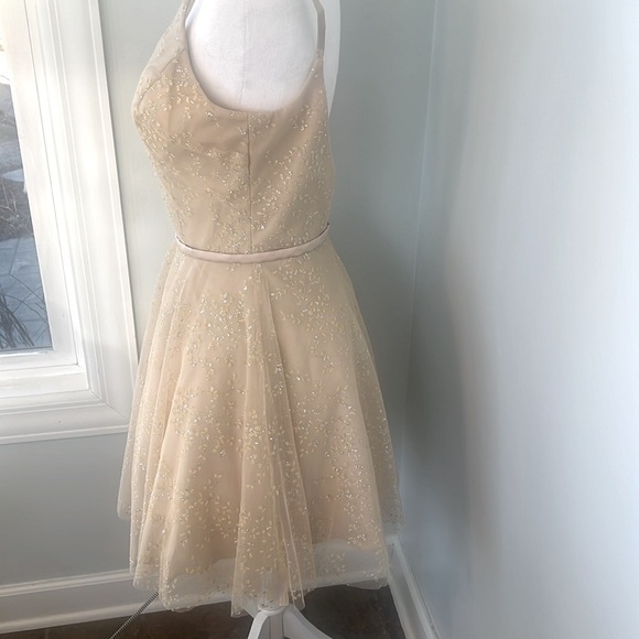 Terani Couture NWT Champagne Tulle Cocktail Dress Wedding Guest Size 6 - Picture 8 of 16